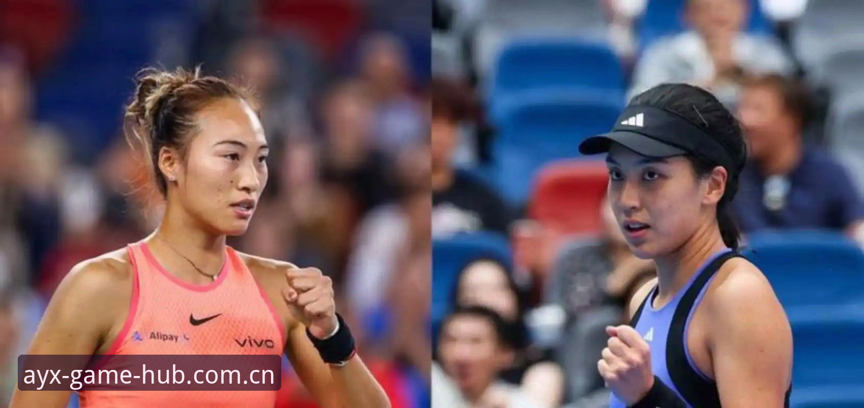 新手玩家分享：2026法网女单抽签结果出炉，中国金花郑钦文非种子出战，AYX体育观赛体验实录